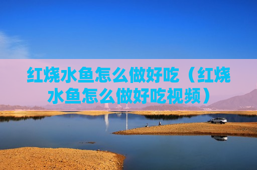 红烧水鱼怎么做好吃（红烧水鱼怎么做好吃视频）