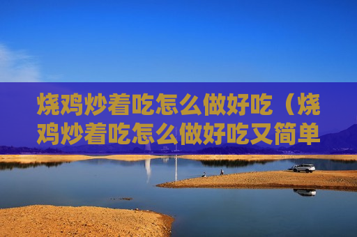 烧鸡炒着吃怎么做好吃（烧鸡炒着吃怎么做好吃又简单）
