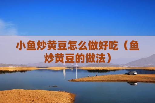 小鱼炒黄豆怎么做好吃（鱼炒黄豆的做法）