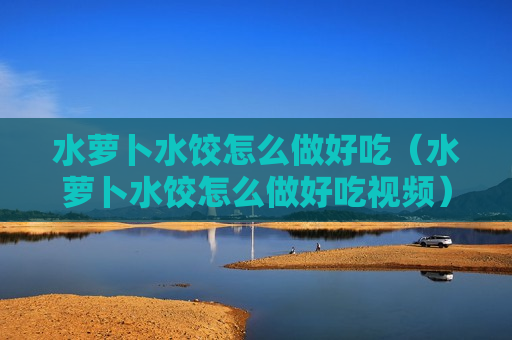 水萝卜水饺怎么做好吃（水萝卜水饺怎么做好吃视频）