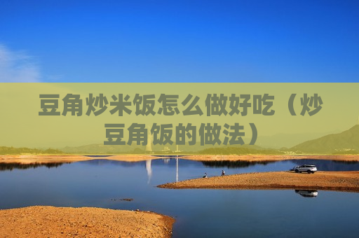 豆角炒米饭怎么做好吃（炒豆角饭的做法）