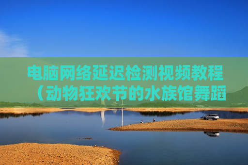 电脑网络延迟检测视频教程（动物狂欢节的水族馆舞蹈）