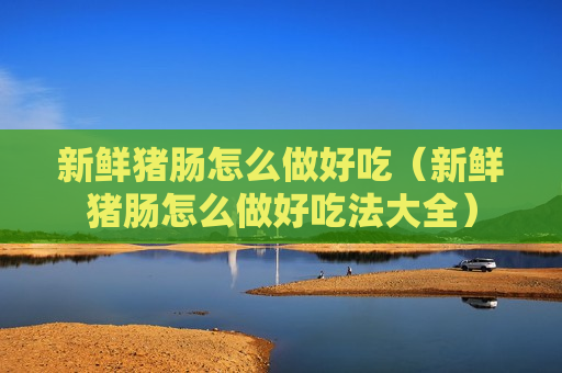 新鲜猪肠怎么做好吃（新鲜猪肠怎么做好吃法大全）