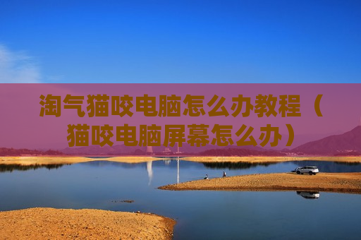 淘气猫咬电脑怎么办教程（猫咬电脑屏幕怎么办）