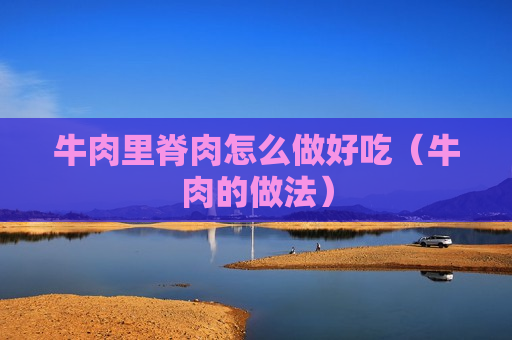牛肉里脊肉怎么做好吃（牛肉的做法）