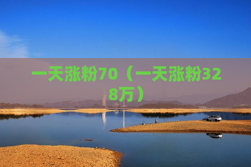 一天涨粉70（一天涨粉328万）
