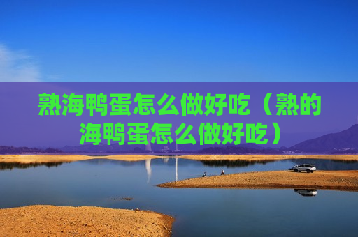 熟海鸭蛋怎么做好吃（熟的海鸭蛋怎么做好吃）