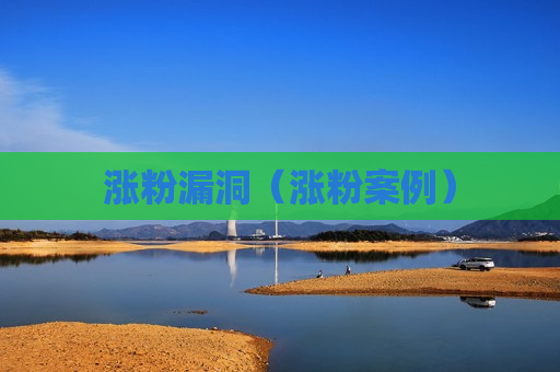 涨粉漏洞（涨粉案例）