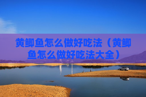 黄鲫鱼怎么做好吃法（黄鲫鱼怎么做好吃法大全）