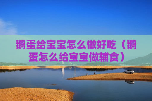 鹅蛋给宝宝怎么做好吃（鹅蛋怎么给宝宝做辅食）