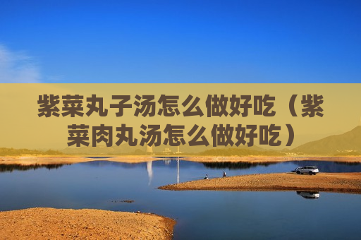 紫菜丸子汤怎么做好吃（紫菜肉丸汤怎么做好吃）