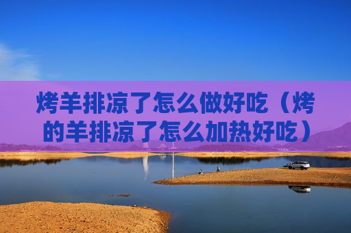烤羊排凉了怎么做好吃（烤的羊排凉了怎么加热好吃）