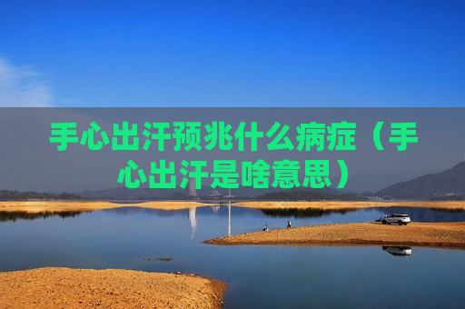 手心出汗预兆什么病症（手心出汗是啥意思）