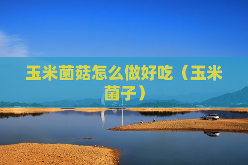 玉米菌菇怎么做好吃（玉米菌子）