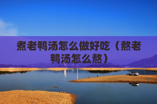 煮老鸭汤怎么做好吃（熬老鸭汤怎么熬）