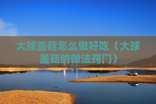 大球盖菇怎么做好吃（大球盖菇的做法窍门）