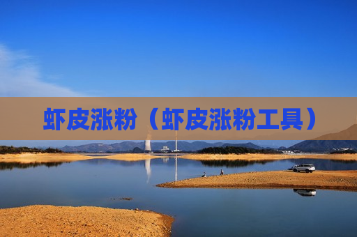 虾皮涨粉（虾皮涨粉工具）