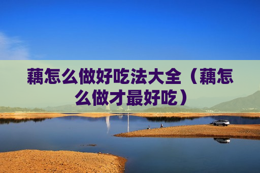 藕怎么做好吃法大全（藕怎么做才最好吃）