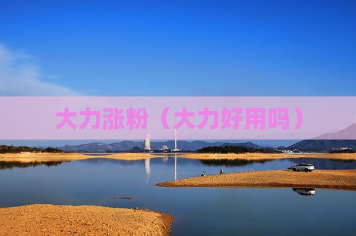 大力涨粉（大力好用吗）