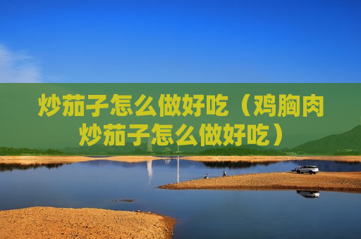 炒茄孑怎么做好吃（鸡胸肉炒茄子怎么做好吃）