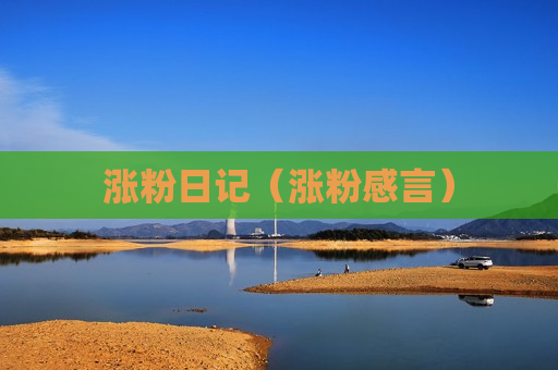 涨粉日记（涨粉感言）