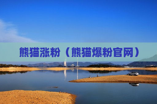 熊猫涨粉（熊猫爆粉官网）