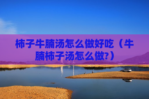 柿子牛腩汤怎么做好吃（牛腩柿子汤怎么做?）