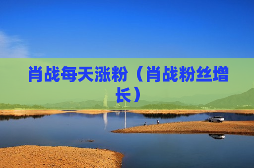 肖战每天涨粉（肖战粉丝增长）