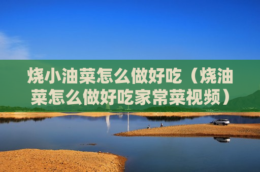 烧小油菜怎么做好吃（烧油菜怎么做好吃家常菜视频）