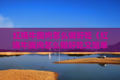红烧牛胸肉怎么做好吃（红烧牛胸肉怎么做好吃又简单）