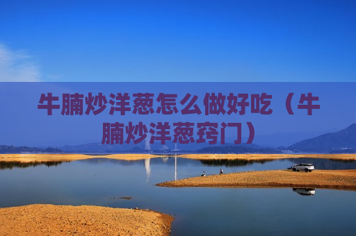 牛腩炒洋葱怎么做好吃（牛腩炒洋葱窍门）
