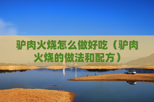 驴肉火烧怎么做好吃（驴肉火烧的做法和配方）