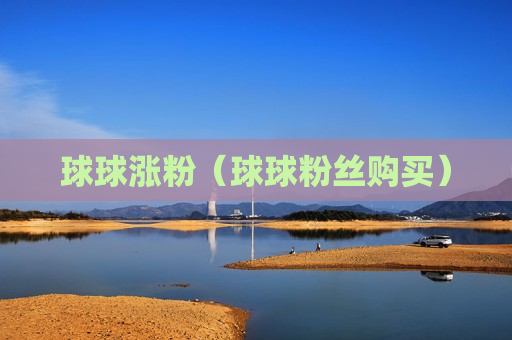 球球涨粉（球球粉丝购买）