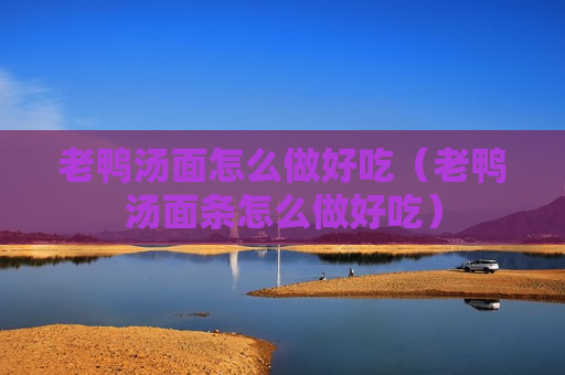 老鸭汤面怎么做好吃（老鸭汤面条怎么做好吃）