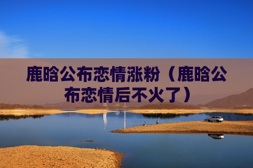 鹿晗公布恋情涨粉（鹿晗公布恋情后不火了）