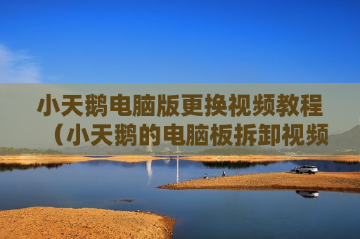 小天鹅电脑版更换视频教程（小天鹅的电脑板拆卸视频）