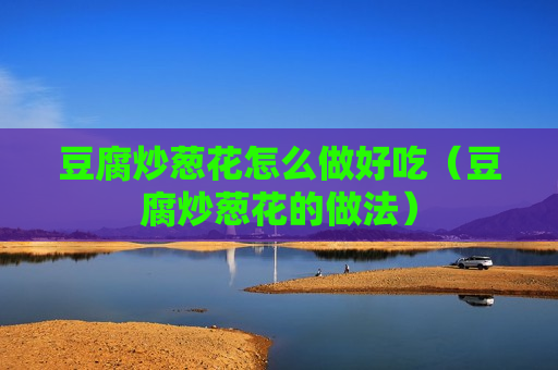 豆腐炒葱花怎么做好吃（豆腐炒葱花的做法）