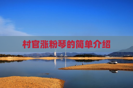 村官涨粉琴的简单介绍