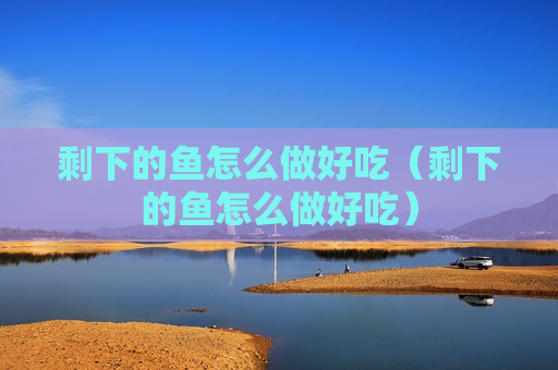 剩下的鱼怎么做好吃（剩下的鱼怎么做好吃）