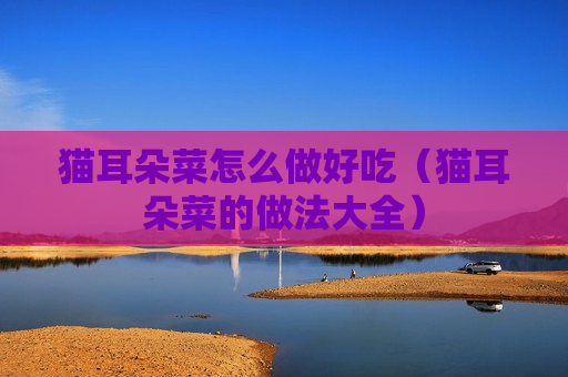 猫耳朵菜怎么做好吃（猫耳朵菜的做法大全）