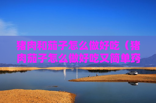 猪肉和茄子怎么做好吃（猪肉茄子怎么做好吃又简单窍门）