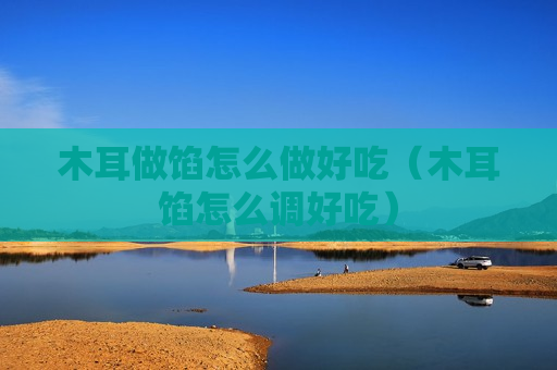 木耳做馅怎么做好吃（木耳馅怎么调好吃）