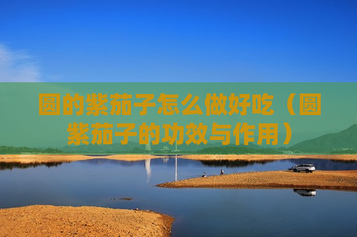 圆的紫茄子怎么做好吃（圆紫茄子的功效与作用）