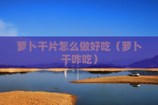 萝卜干片怎么做好吃（萝卜干咋吃）