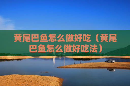 黄尾巴鱼怎么做好吃（黄尾巴鱼怎么做好吃法）