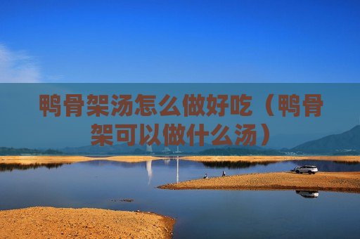 鸭骨架汤怎么做好吃（鸭骨架可以做什么汤）