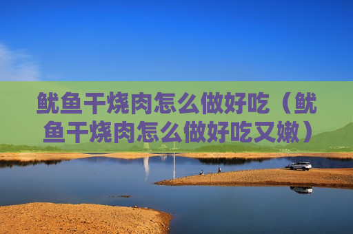 鱿鱼干烧肉怎么做好吃（鱿鱼干烧肉怎么做好吃又嫩）