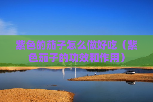 紫色的茄子怎么做好吃（紫色茄子的功效和作用）