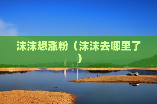 沫沫想涨粉（沫沫去哪里了）