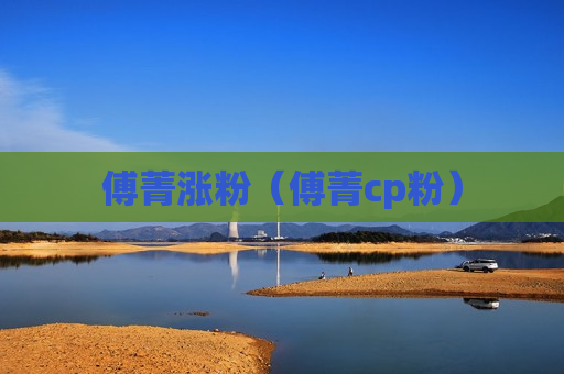 傅菁涨粉（傅菁cp粉）